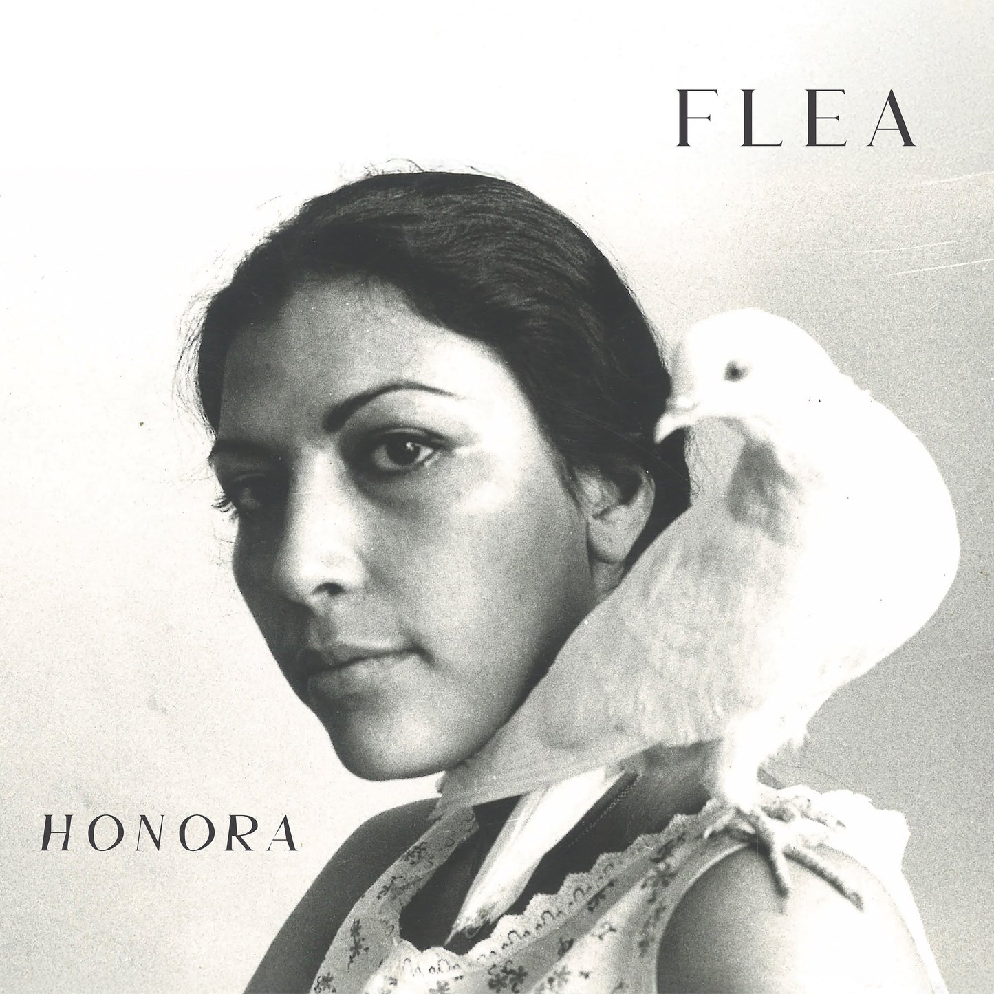 (PRE ORDER 3/27/26) Honora (RED 2xVINYL) | - ALT/INDIE *NEW/COLOR*