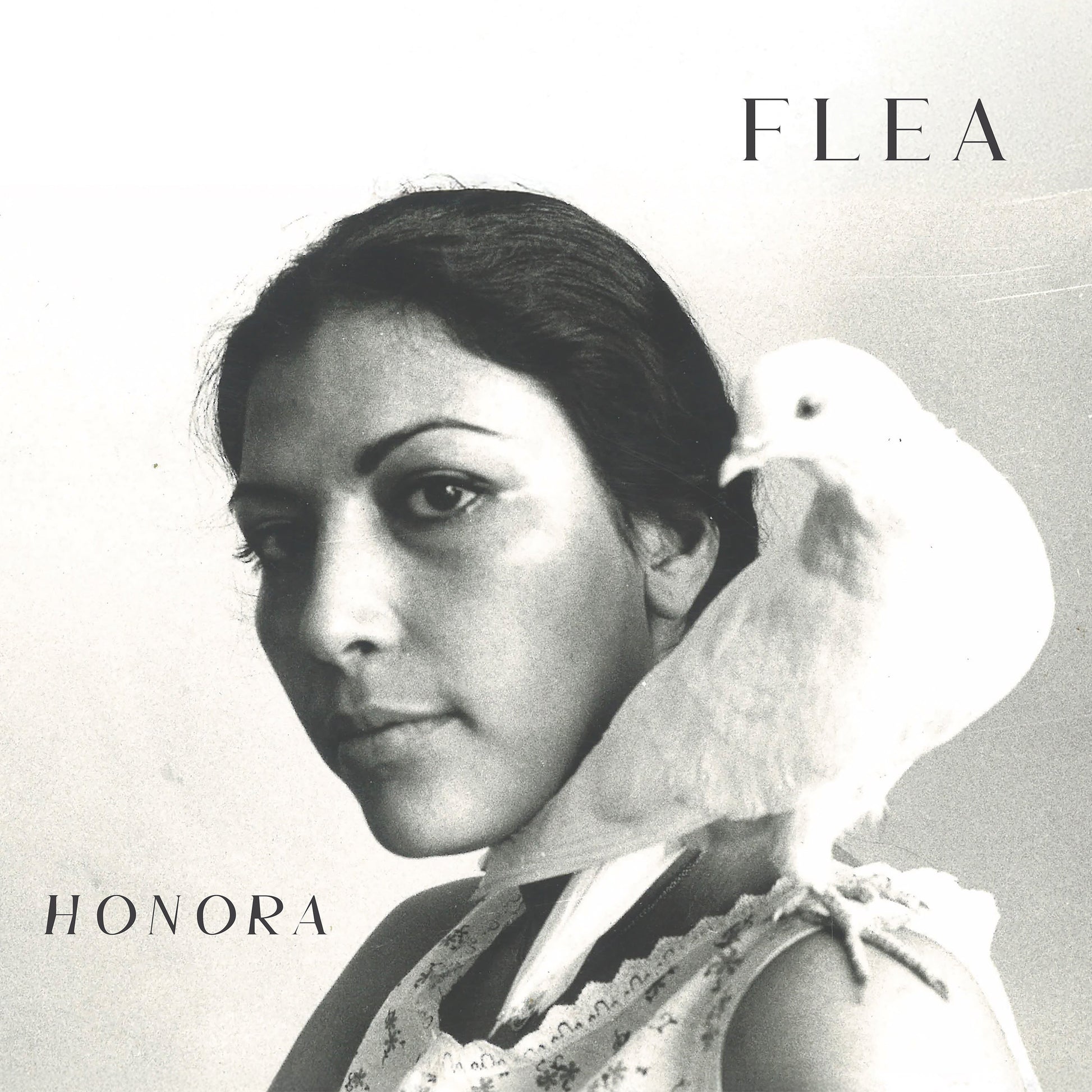 (PRE ORDER 3/27/26) Honora (RED 2xVINYL) | - ALT/INDIE *NEW/COLOR*