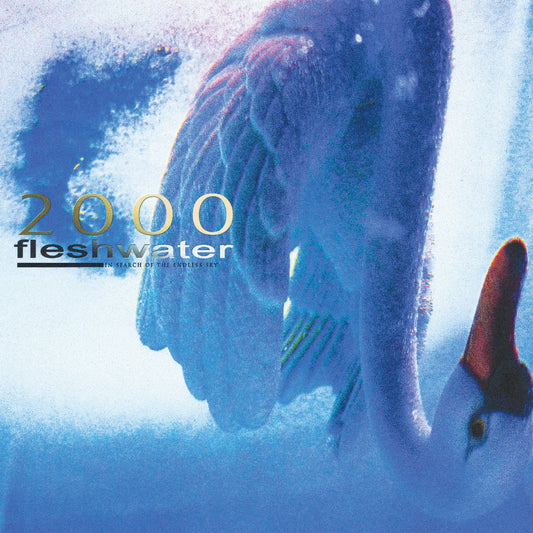 2000: In Search Of The Endless Sky (Indie Exclusive Fluorescent Pink Vinyl) |