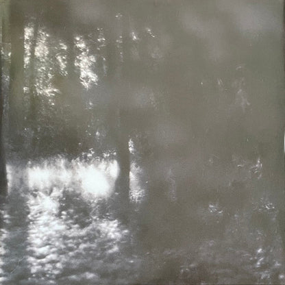 Florist | Mint (M) Mint (M) - FOLK *SEALED/COLOR*