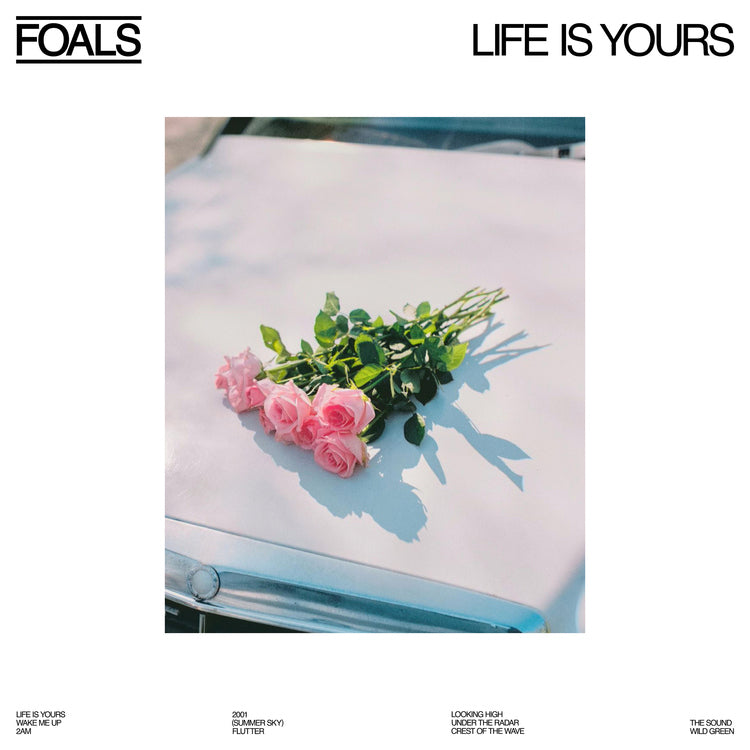 Life Is Yours |