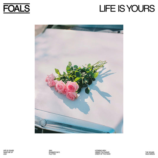 Life Is Yours |
