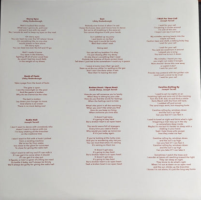 Book of Fools | Mint (M) Mint (M) - FOLK/BLUEGRASS *SEALED/COLOR*