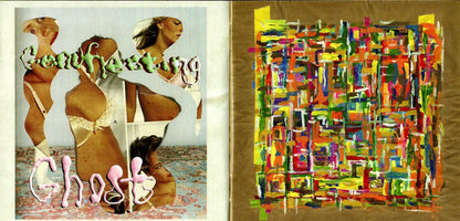 Javelin (CD) | Mint (M) Mint (M) - FOLK *NEW/CD*