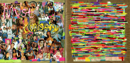 Javelin (CD) | Mint (M) Mint (M) - FOLK *NEW/CD*