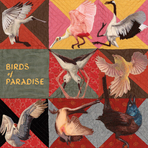 (PRESALE 5/22/26) Birds of Paradise (PINK VINYL) | Mint (M) Mint (M) - FOLK *NEW/COLOR*