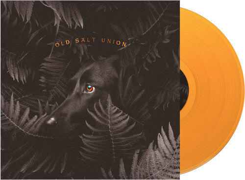 OLD SALT UNION - WHERE THE DOGS DON'T BITE (Orange VINYL LP) | NEW Mint (M) Mint (M) - FOLK *NEW/COLOR*