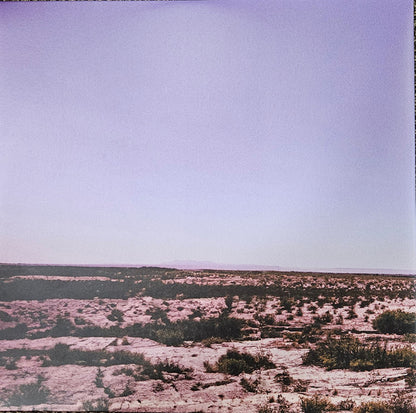 South of Here (GREEN IRIDESCENT VINYL) | Mint (M) Excellent (EX) - FOLK *NEW/COLOR*
