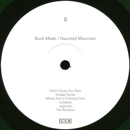 Haunted Mountain | Mint (M) Mint (M)
