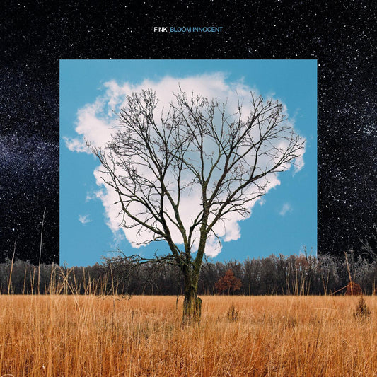 Fink - Bloom Innocent (CD) | Mint Mint - FOLK *NEW*