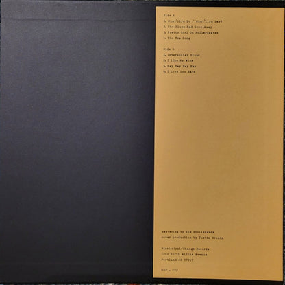 Back Home With Drifting Woods (VINYL) | Mint (M) Mint (M) - FOLK *NEW*