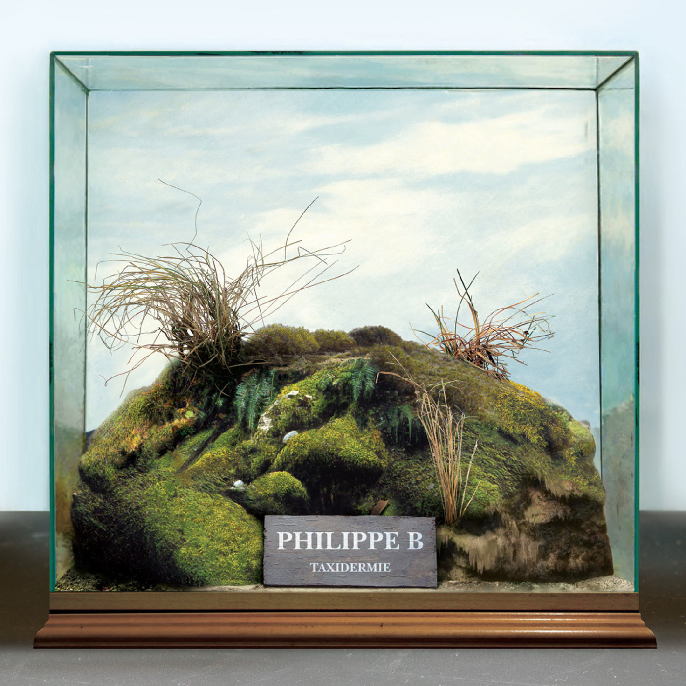 Philippe B - Taxidermie (CD) | - FOLK *NEW*