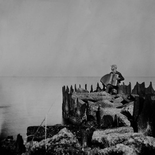 McClements, Walt - A Hole In The Fence | - FOLK *NEW*
