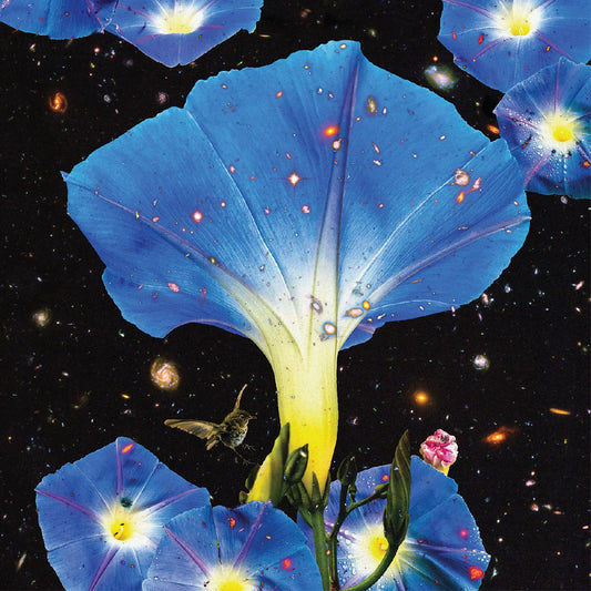 Louise, Sarah - Nighttime Birds and Morning Stars | - FOLK *NEW*