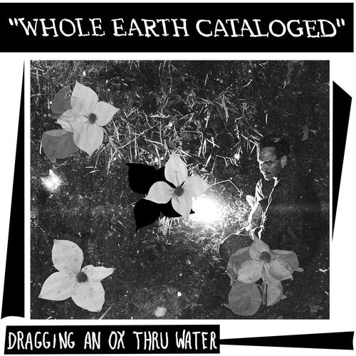 Dragging An Ox - (PRESALE 5/29/26) Whole Earth Catalogued (VINYL) | Mint (M) Mint (M) - FOLK *NEW*
