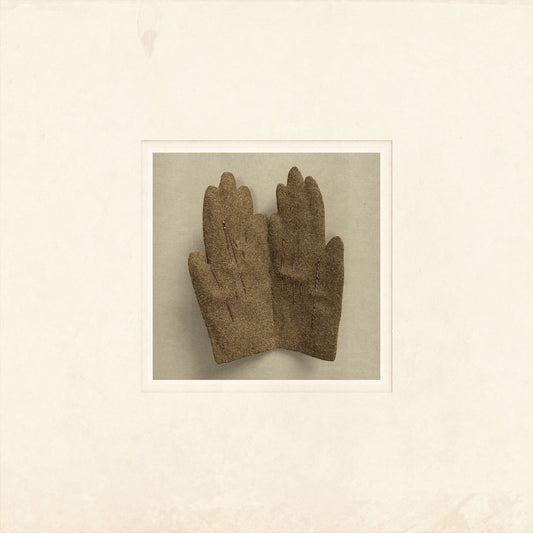Daniella Ljungsberg - (PRESALE 11/6/26) Other Plans (VINYL LP) | NEW - FOLK *NEW*