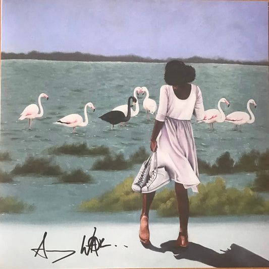 Armageddon In A Summer Dress (CLEAR PINK VINYL) | Mint (M) Mint (M) - FOLK *NEW*
