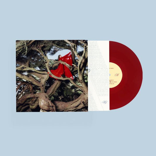(PRE-ORDER 10/10/25) Nested In Tangles (Ruby Red Vinyl) | Mint (M) Mint (M) - FOLK *NEW*