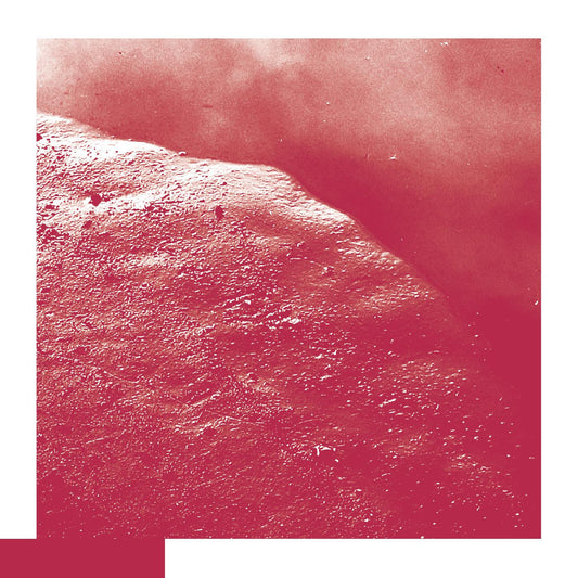 Allred, David - The Cell | - FOLK *NEW*