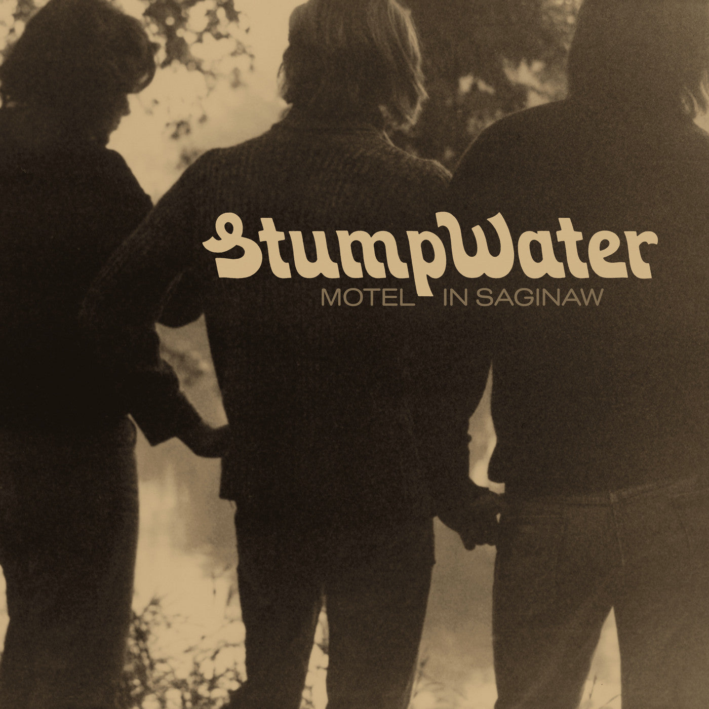 Stumpwater - Motel In Saginaw (Vinyl) | Mint (M) Mint (M) - FOLK *NEW*