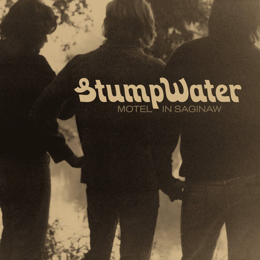Stumpwater - Motel In Saginaw (Vinyl) | Mint (M) Mint (M) - FOLK *NEW*