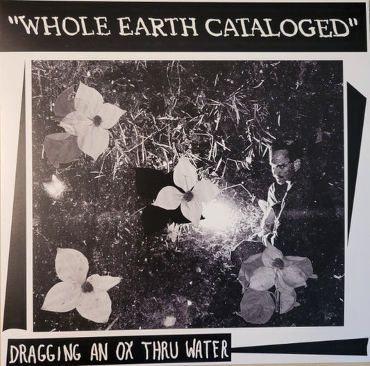 Dragging An Ox Through Water - Whole Earth Cataloged (VINYL LP Mississippi MP-03) | - FOLK *NEW*