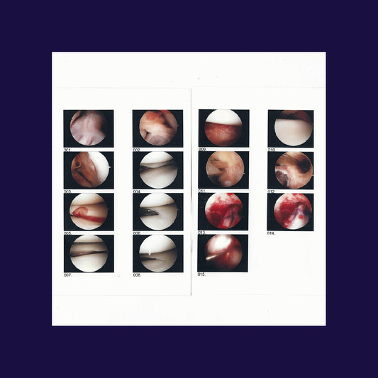 Cradle, The - Laughing In My Sleep (CD) | Mint Mint - FOLK *NEW*