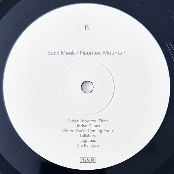 Buck Meek - Haunted Mountain | Mint (M) Mint (M) - FOLK *NEW*