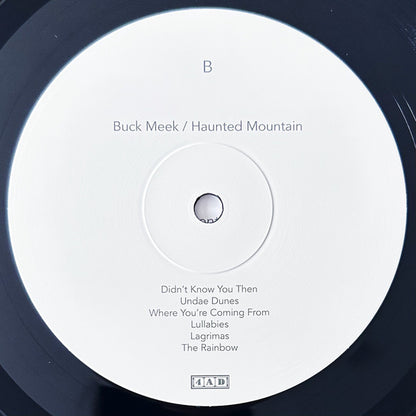 Buck Meek - Haunted Mountain | Mint (M) Mint (M) - FOLK *NEW*