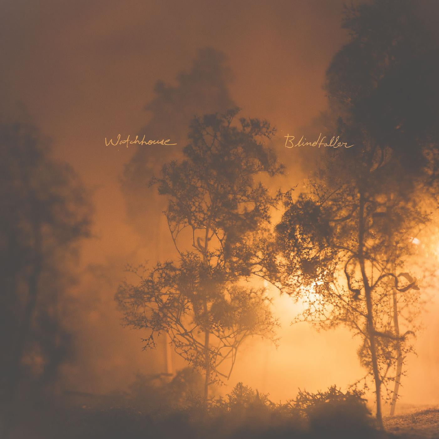 Watchhouse - Blindfaller (CD) | - FOLK *NEW*