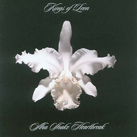 Aha Shake Heartbreak | Mint (M) Mint (M) - FOLK *SEALED*
