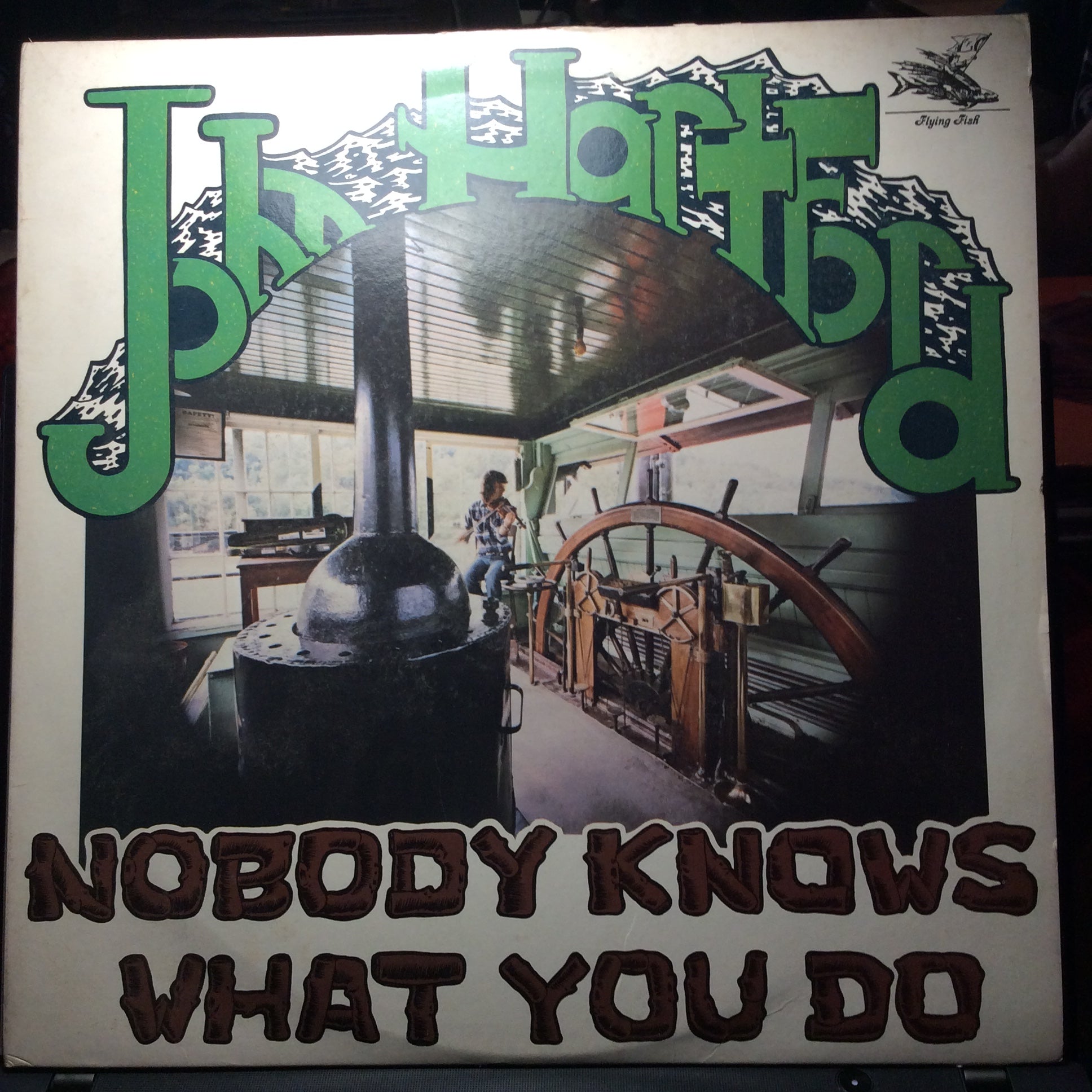 Nobody Knows What You Do (VINYL) | Excellent (EX) Very Good Plus (VG+) - FOLK / USED *EXCELLENT*