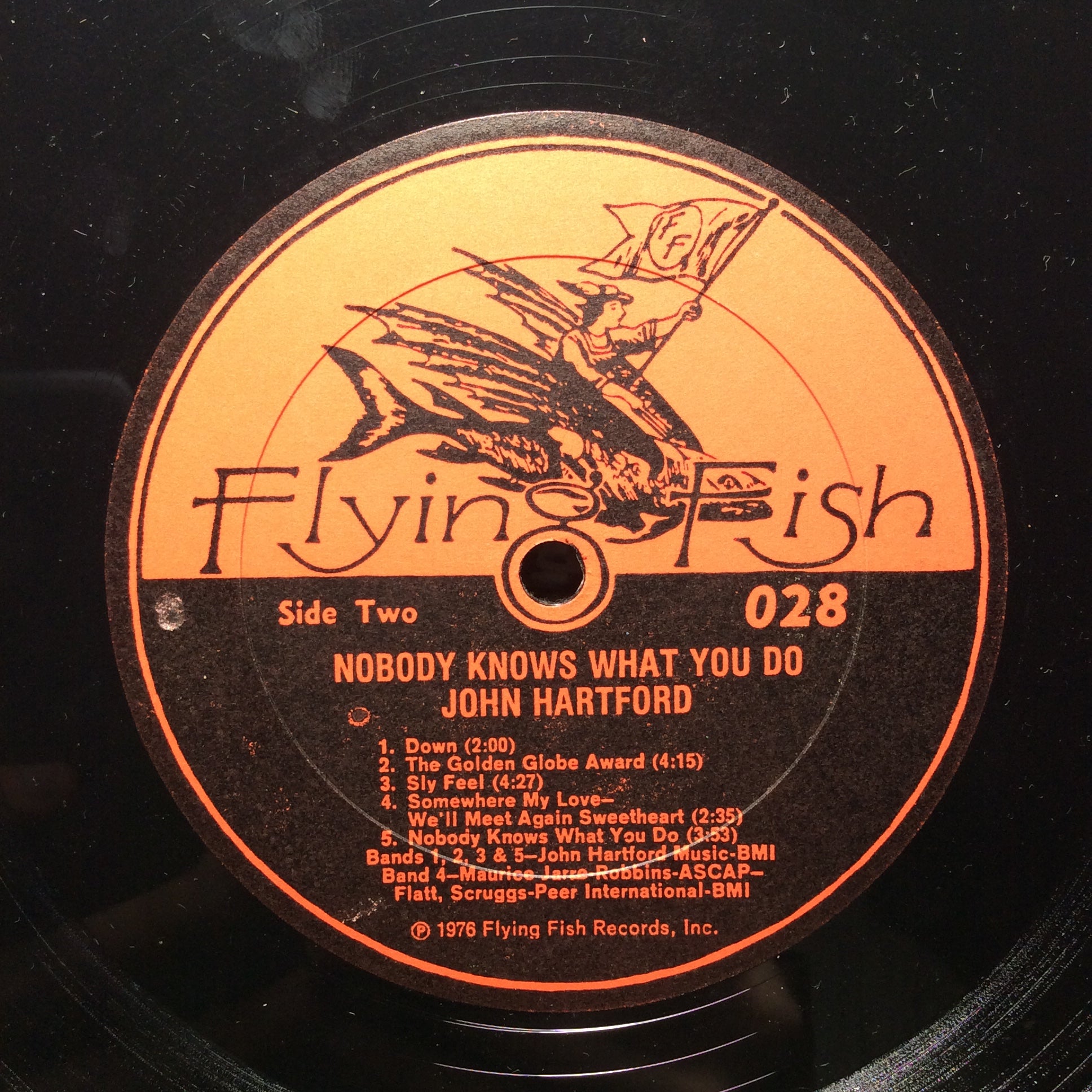 Nobody Knows What You Do (VINYL) | Excellent (EX) Very Good Plus (VG+) - FOLK / USED *EXCELLENT*