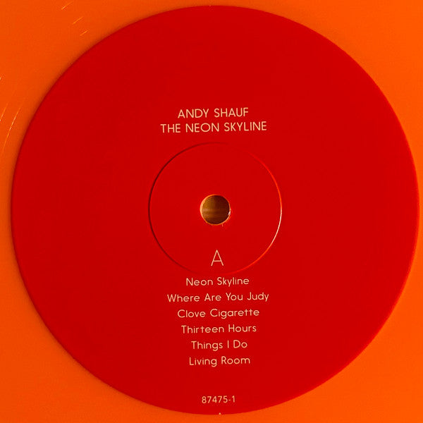 The Neon Skyline (VINYL) | Near Mint (NM) Near Mint (NM) - FOLK / USED *NEAR MINT*