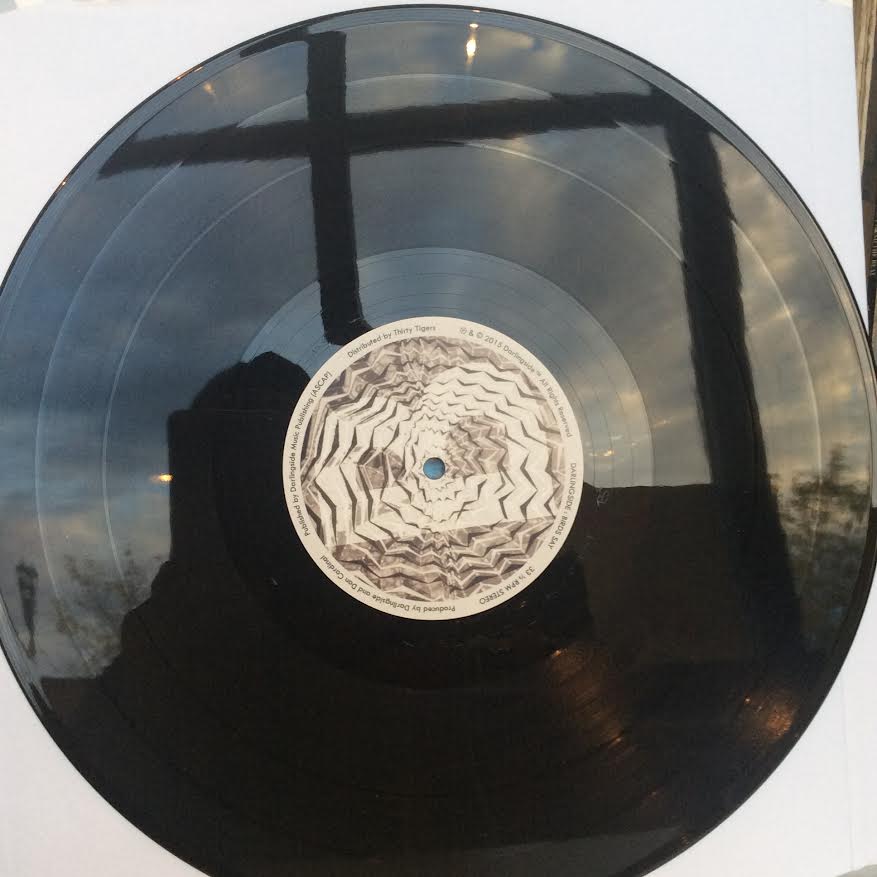 Birds Say (VINYL) | Near Mint (NM) Near Mint (NM) - FOLK / USED *NEAR MINT*