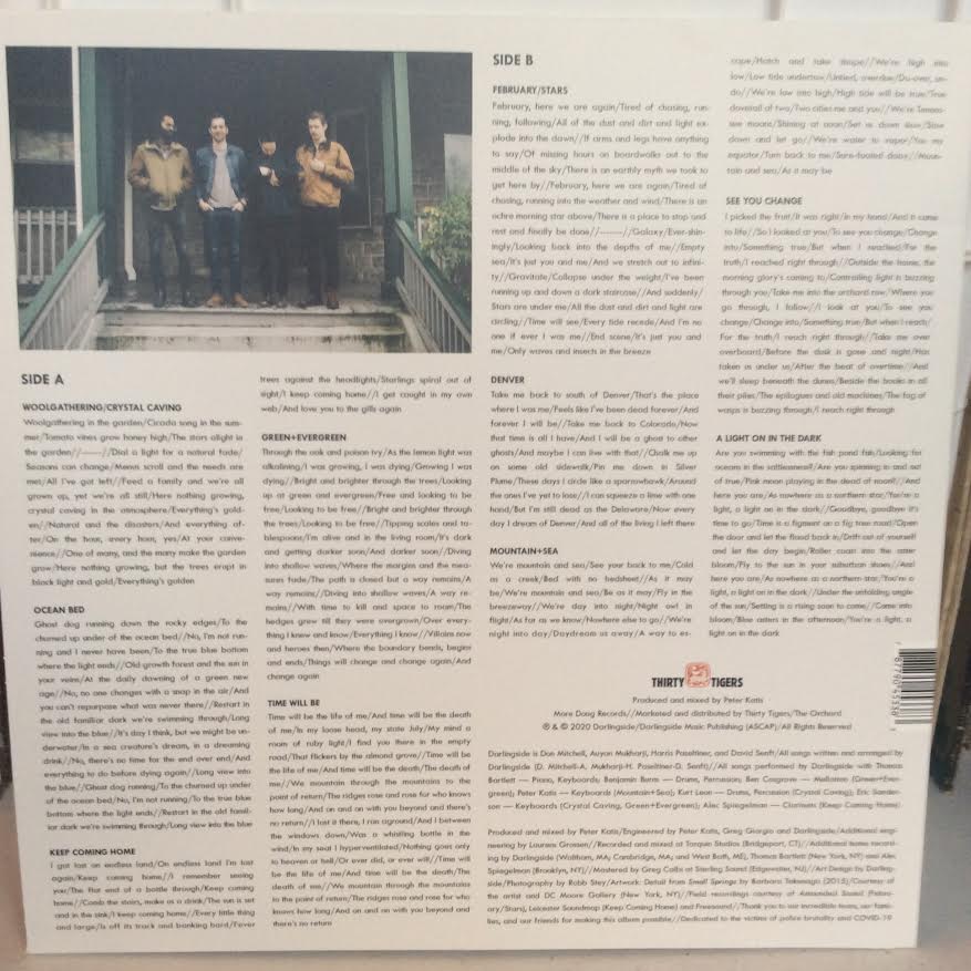 Fish Pond Fish (VINYL) | Near Mint (NM) Near Mint (NM) - FOLK / USED *NEAR MINT*