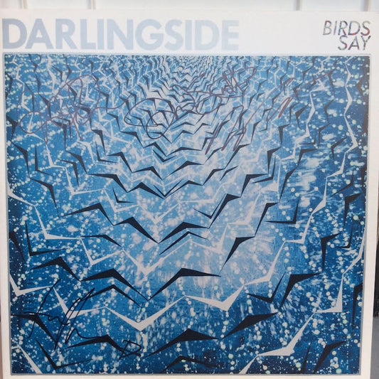 Birds Say (VINYL) | Near Mint (NM) Near Mint (NM) - FOLK / USED *NEAR MINT*