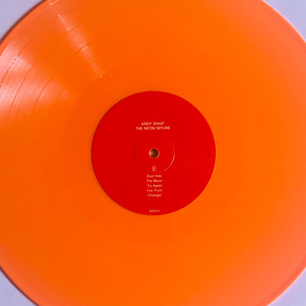 The Neon Skyline (VINYL) | Near Mint (NM) Near Mint (NM) - FOLK / USED *NEAR MINT*