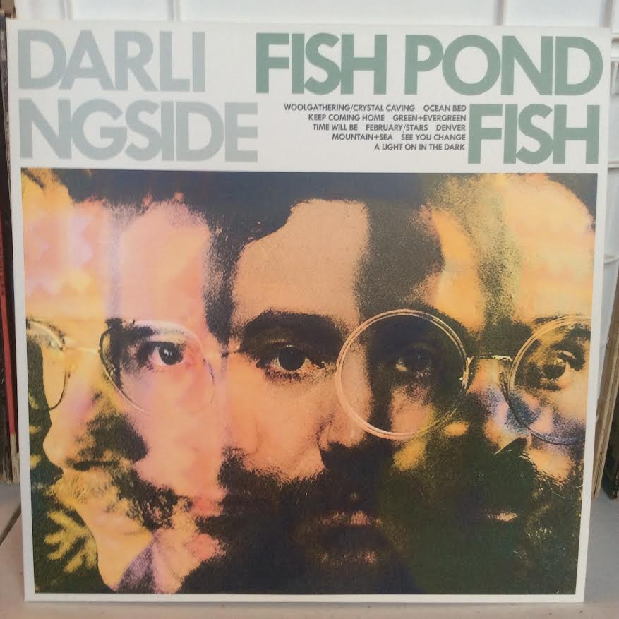 Fish Pond Fish (VINYL) | Near Mint (NM) Near Mint (NM) - FOLK / USED *NEAR MINT*