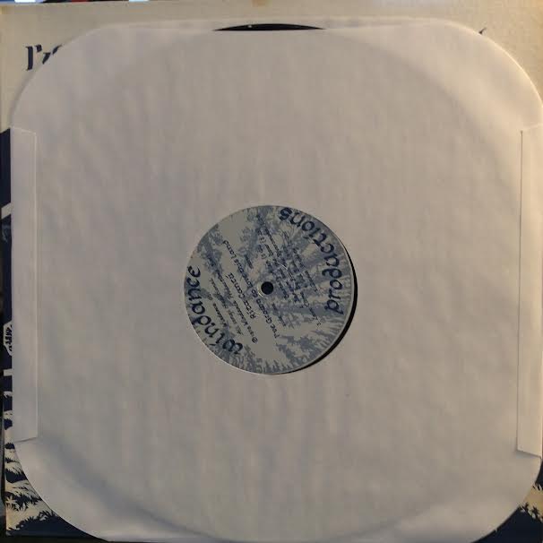 I've Grown To Love This Land (VINYL) | Near Mint (NM or M-) Near Mint (NM or M-) - FOLK / USED *NEAR MINT*
