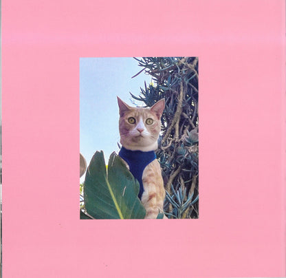 Archives – Volume 3: The Asylum Years (1972-1975) (5x CD BOX) | Near Mint (NM or M-) Excellent+ (EX+) - FOLK / USED *NEAR MINT*