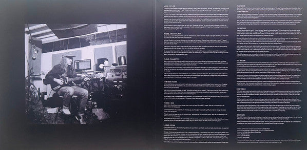 The Neon Skyline (VINYL) | Near Mint (NM) Near Mint (NM) - FOLK / USED *NEAR MINT*