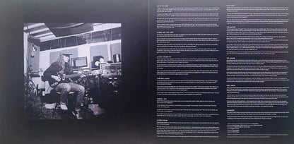 The Neon Skyline (VINYL) | Near Mint (NM) Near Mint (NM) - FOLK / USED *NEAR MINT*