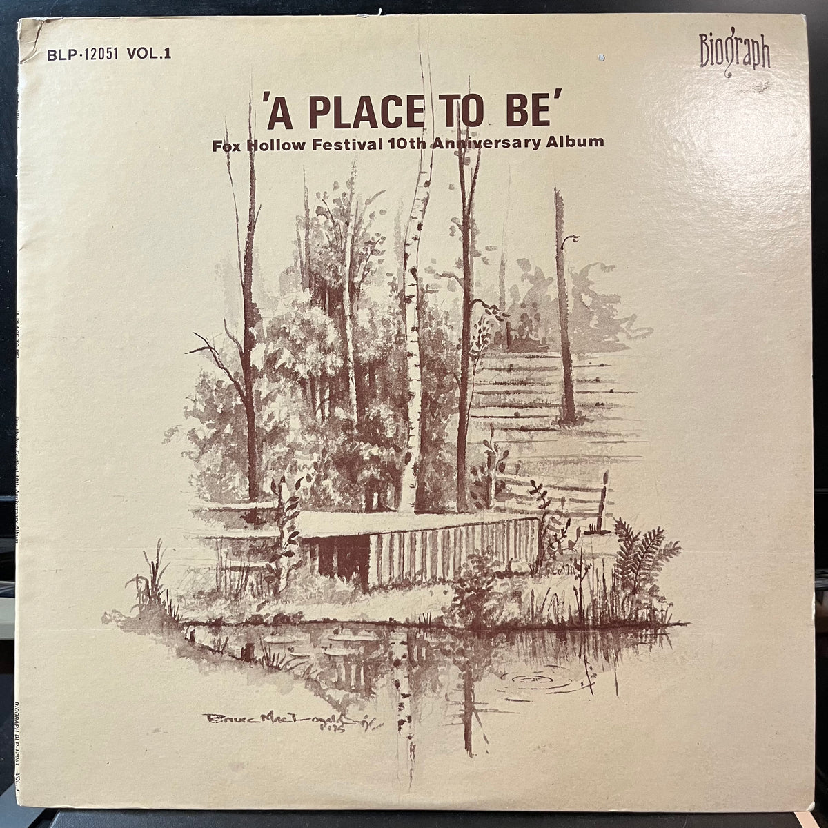 Various - A Place To Be: Fox Hollow Festival 10th Anniversary Album Vol 1 (VINYL LP) | USED Near Mint (NM or M-) Excellent+ (EX+) - FOLK / USED *NEAR MINT*