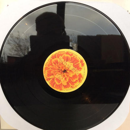 Vessel (2xVINYL) | Near Mint (NM) Near Mint (NM) - FOLK / USED *NEAR MINT*