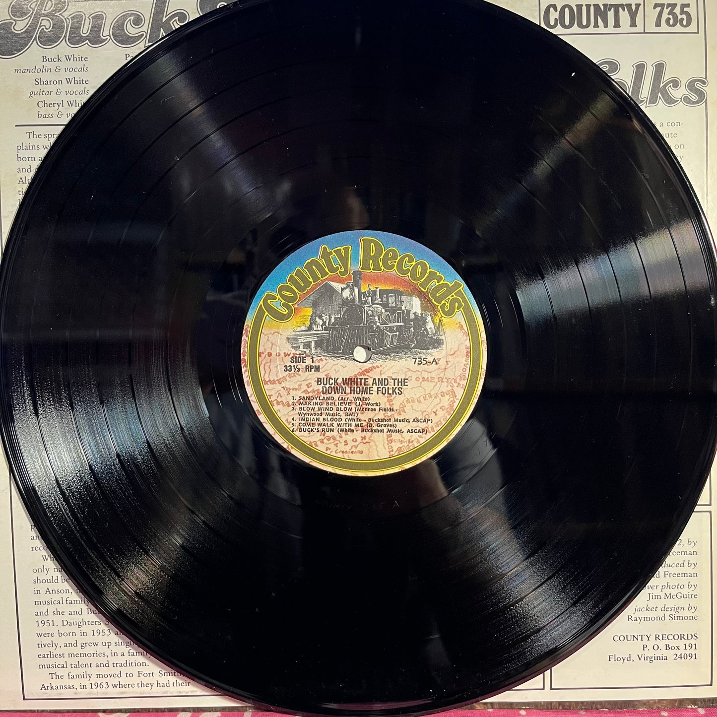 Buck White & The Down Home Folks - Buck White & The Down Home Folks | Near Mint (NM) Excellent (EX) - FOLK / USED *NEAR MINT*