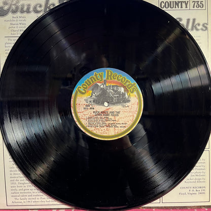Buck White & The Down Home Folks - Buck White & The Down Home Folks | Near Mint (NM) Excellent (EX) - FOLK / USED *NEAR MINT*