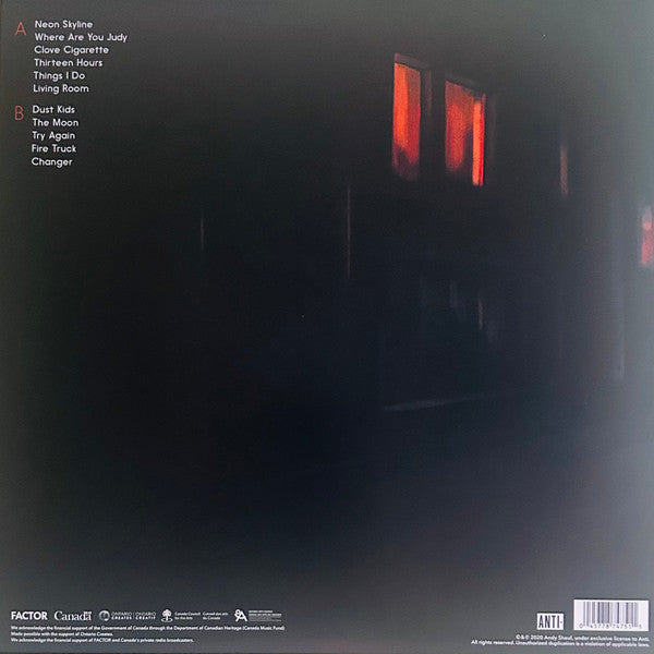 The Neon Skyline (VINYL) | Near Mint (NM) Near Mint (NM) - FOLK / USED *NEAR MINT*