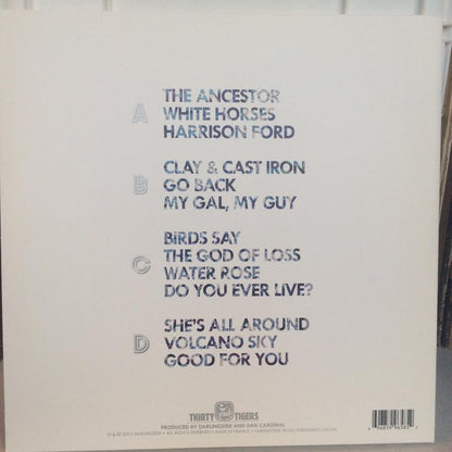 Birds Say (VINYL) | Near Mint (NM) Near Mint (NM) - FOLK / USED *NEAR MINT*