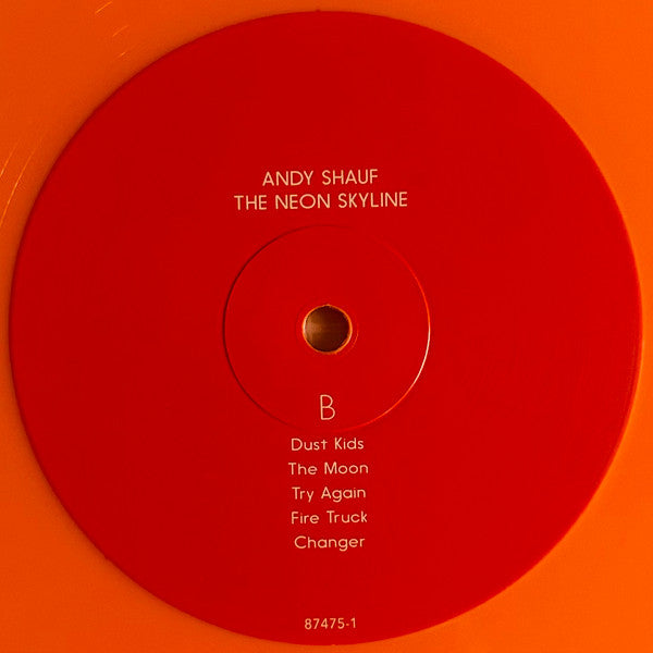 The Neon Skyline (VINYL) | Near Mint (NM) Near Mint (NM) - FOLK / USED *NEAR MINT*